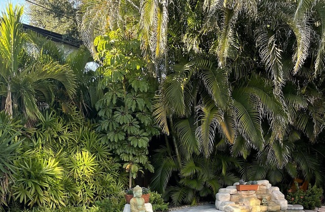 3BD + loft, Davis Islands home with pool/hot tub...South Tampa