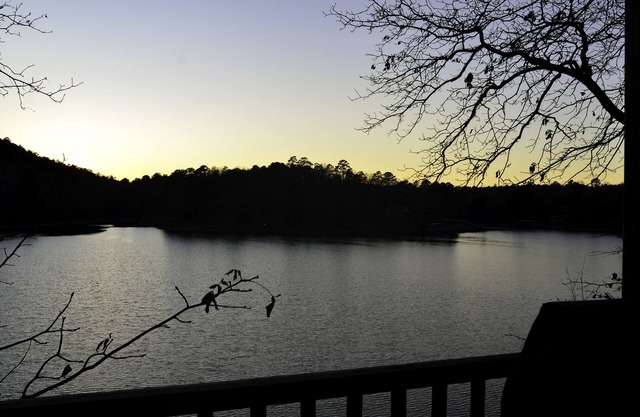 3br/2ba House, great views, convienent to Oaklawn. (Can rent extra br and ba)