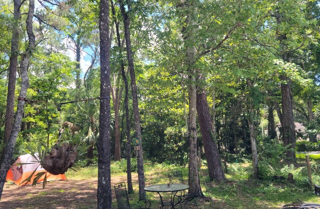 4.5 MILES TO MACRAES BOAT RAMP! Spacious with plenty of room for boats or RVs.