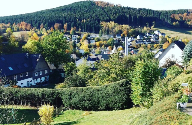 4* star vacation apartment "Apartment Sunlife Winterberg"