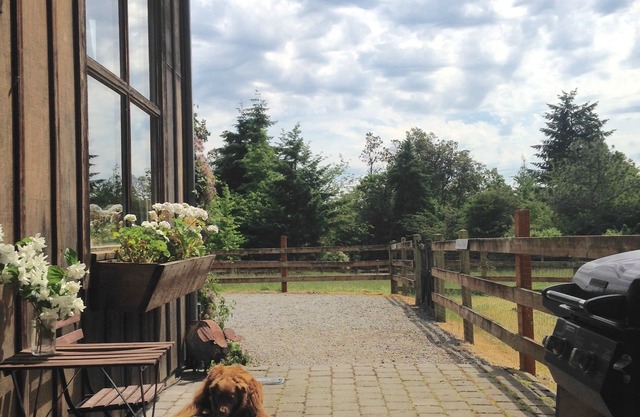 40 Acres Estate, Beach Access, Pet Friendly: Wildwood Studio
