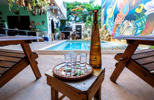 4BR Boutique Hotel in Punta Sur