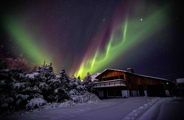 5 min walk to Flattop Trailhead! Aurora! Sauna! Amazing mountain views.