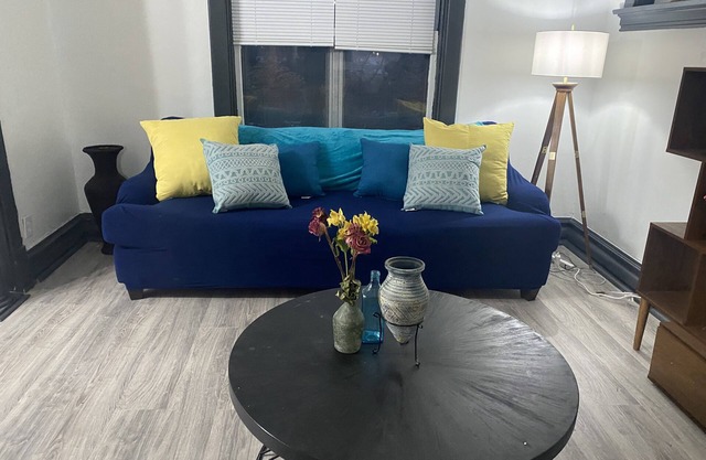 5 minutes from all St.Louis attractions! Charming Home in The Shaw District.