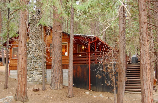 (70) Simmons Den at The Redwoods In Yosemite