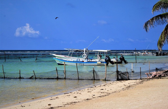 8 minute drive to the Punta Playa, beautiful 2 bedroom fully furnished Villan
