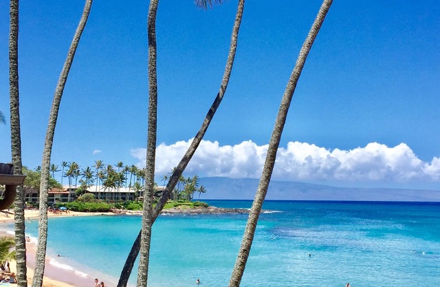 A/C OCEAN VIEW LUXURIOUS HAWAIIAN GEM