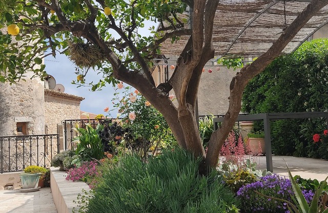A dream week in the heart of Saint-Jeannet