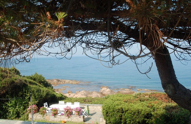 A great summer time in the waters of the Bay of Ajaccio.