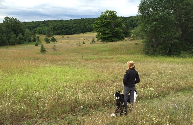 A Great Up North Family Retreat