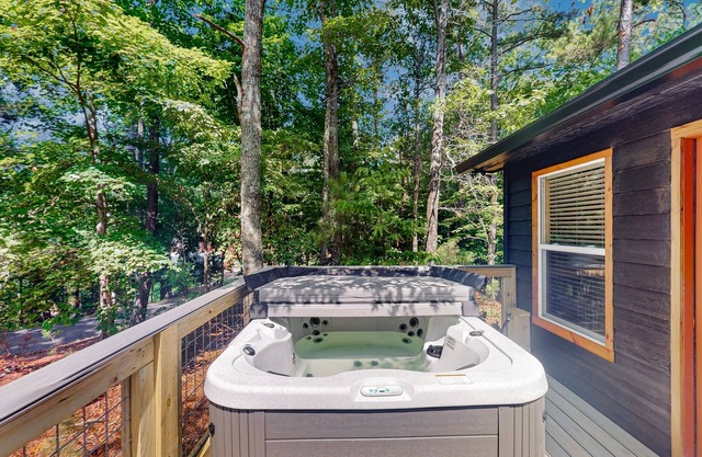 A Newly Renovated Serene cabin offering limited mobility accessibility
