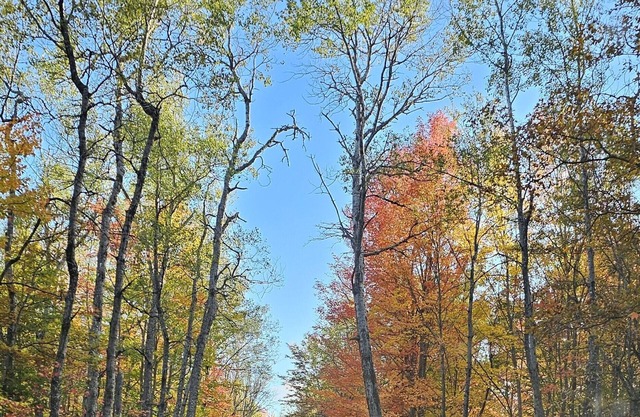 A well-maintained, cozy camper in a secluded location near state land