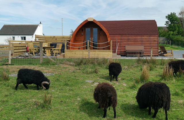 Achmeney Glamping, larger than Average pod