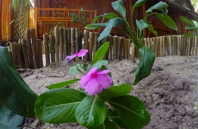Adang Sea Divers & Eco Lodge Koh Lipe