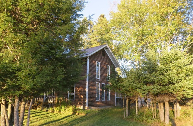 Adirondack Indian Lake NY-Good WiFi. Sleeps 8. Families, friends and dogs.