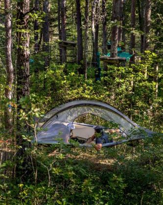 Adventure Forest