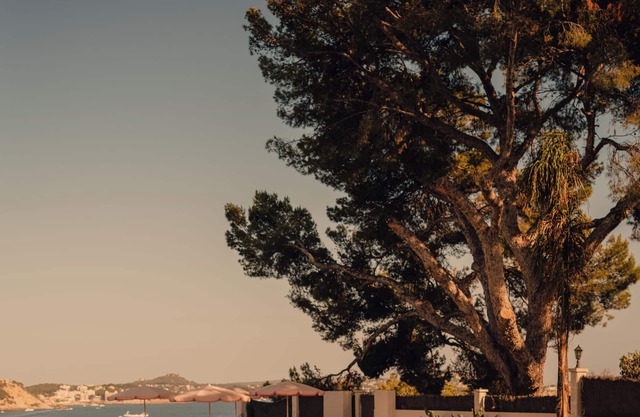 Aethos Mallorca