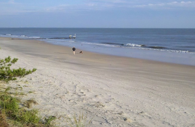 Affordable Beach Vacation 50 Steps from Ocean View Beach