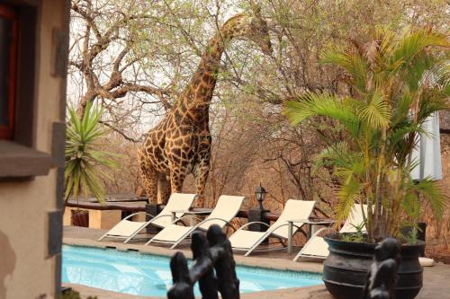 African Rock Lodge