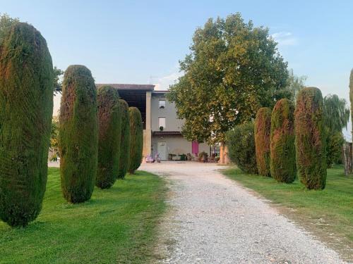 Agriturismo Corte Bonetti - Il Platano
