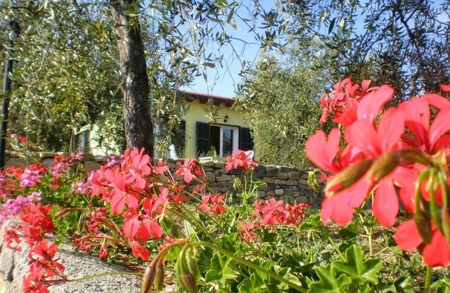 Agriturismo Green House