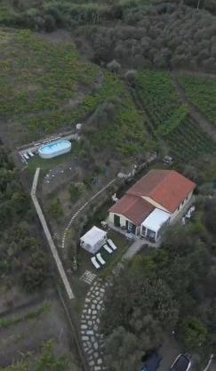 Agriturismo La Collina Verde