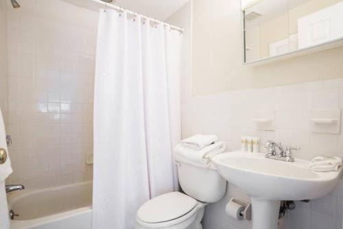 Airy, Modern 1BR downtown Boston