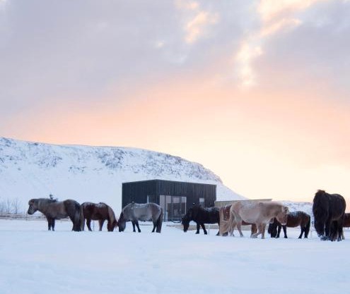 Akurgerði Guesthouse 8 - Country Life Style