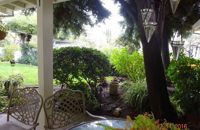 Alamo Guesthouse Private and Secluded. Country living next to the city life.