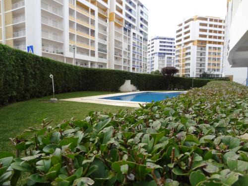 ALGARVE Studio