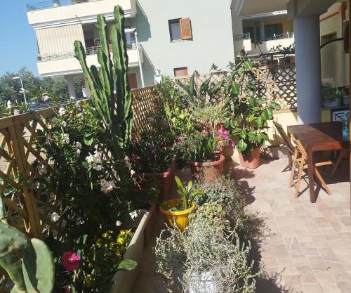 Alghero Lovely Flat