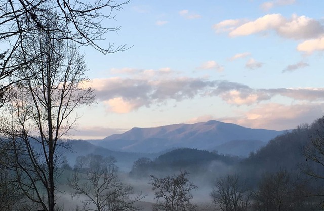 All KING BEDS in the bedrooms. Mountain Views, Pets OK, WiFi, Sat TV, Firepit