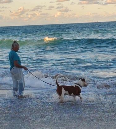 All Pets Welcome, Across From Beach, Tiki Hut