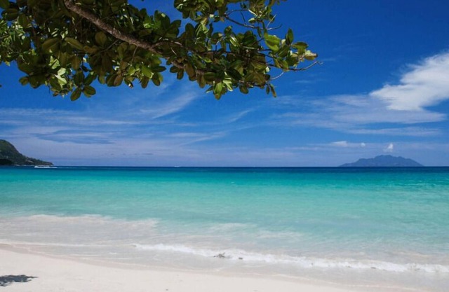 Alpha & Omega Seychelles