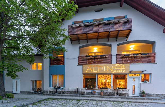 ALPINpelso