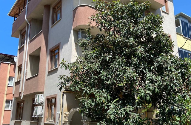 altuncu