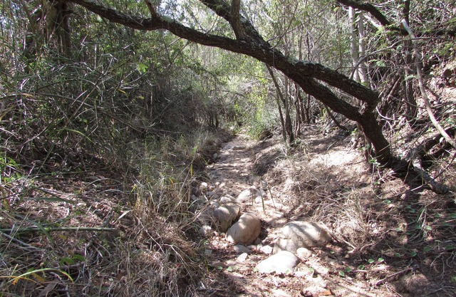 Amanzimlotzi Riverside Bush Camp Pure Wilderness in Limpopo, Kruger Park