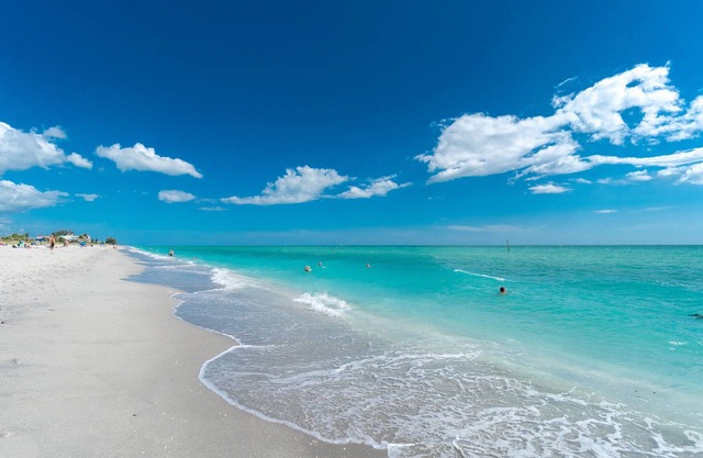 Amazing Gulf Beaches, Dearborn street min away. Heated Pool w/Palm trees, Lanai