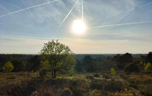 Amazing Home In Hellendoorn With Sauna