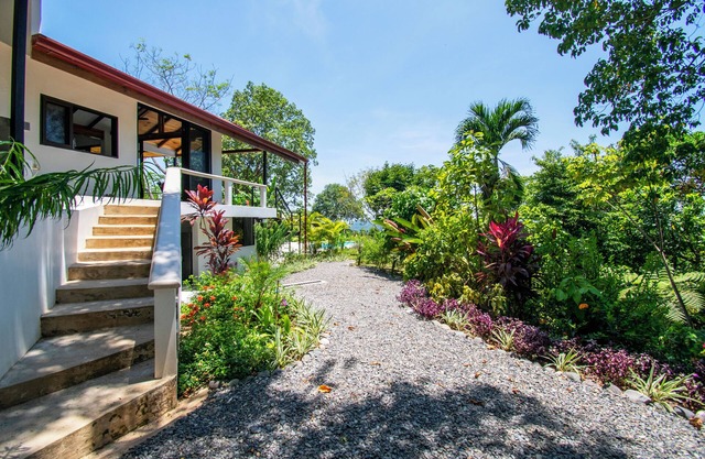 Amazing ocean view jungle home newly renovated!