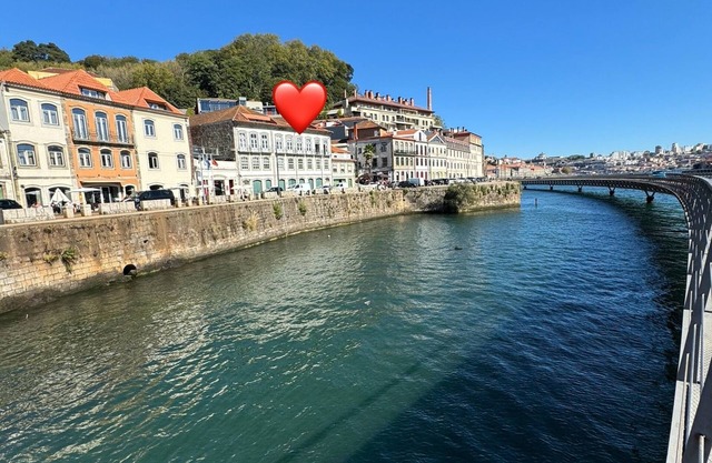 Amazing premium apartmentDouro River-views
