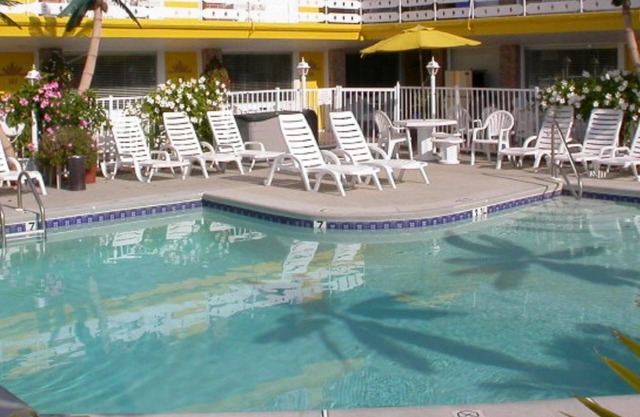 American Safari Motel