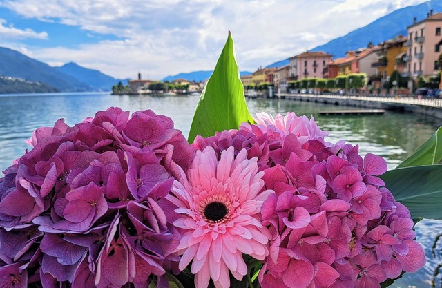 Among the colors of Alto Lario