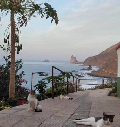 Anaga Manolo Natural Beach House