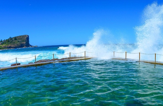 Angophora Beach House