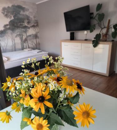 Apartament 25 Mikołajki