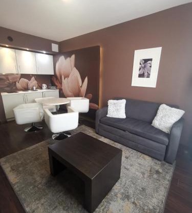 Apartament prywatny 2-pokojowy Diva Hotel