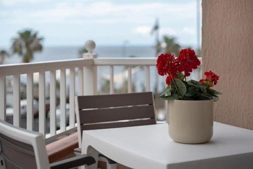 Apartamento Bonjour