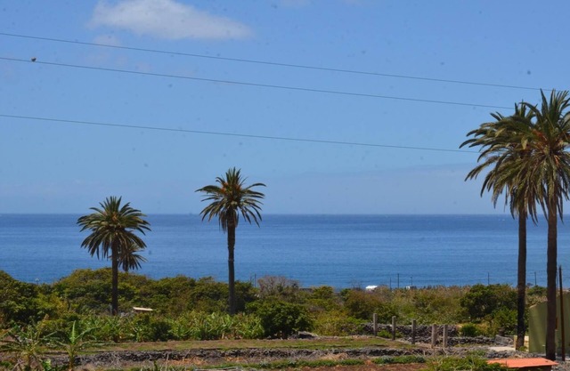 Apartamento Heliconia 4