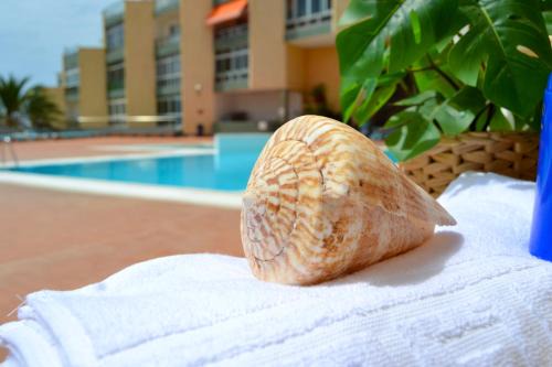 Apartamento Moana Beach
